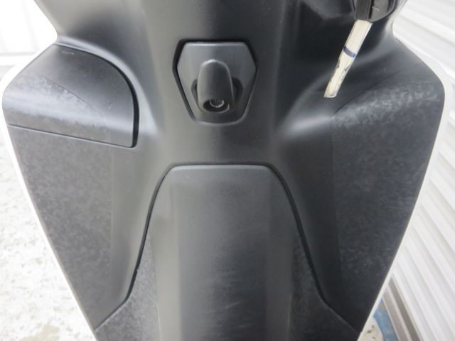 �z���_�f�B�I110�i���Q���ɗ\�S�u�����j�摜29