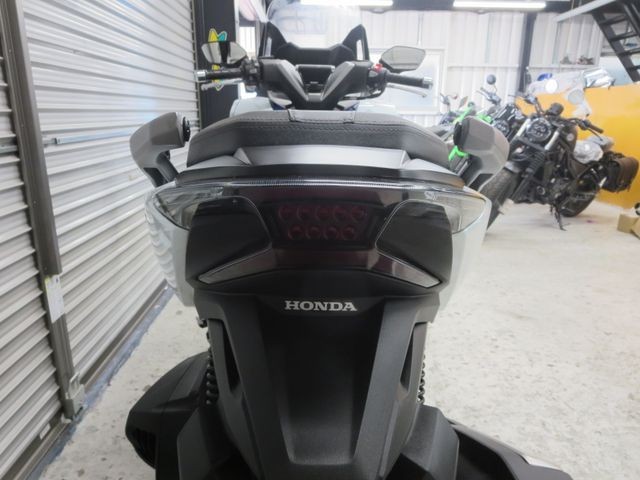 �z���_�t�H���c�@�i���Q���ɗ\�S�u�����j�摜21