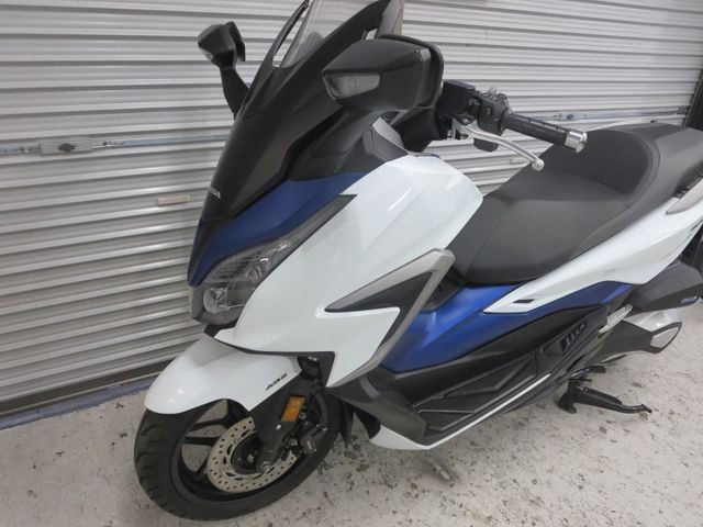 �z���_�t�H���c�@�i���Q���ɗ\�S�u�����j�摜27
