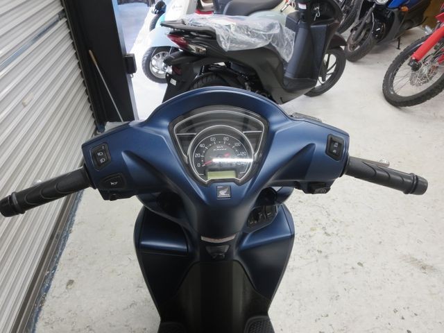 �z���_�f�B�I110�i���Q���ɗ\�S�u�����j�摜27
