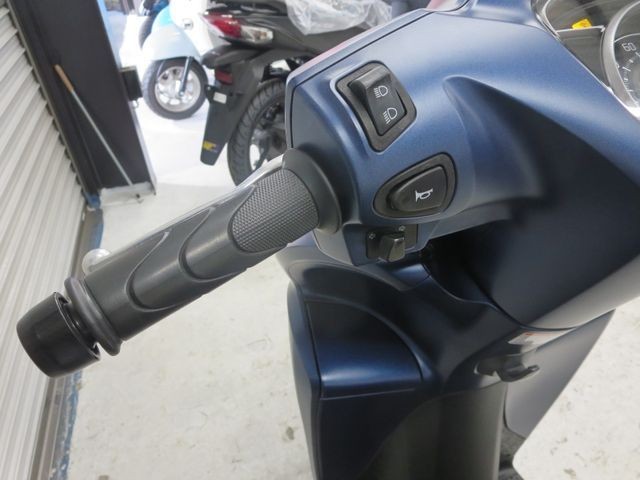�z���_�f�B�I110�i���Q���ɗ\�S�u�����j�摜30