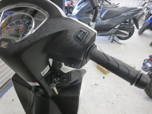 �z���_�f�B�I110�i���Q���ɗ\�S�u�����j�摜24