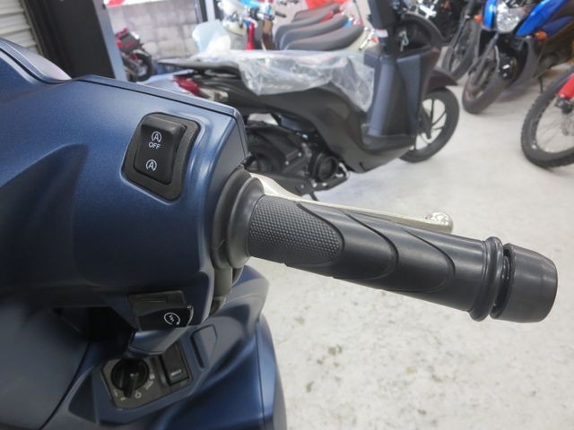 �z���_�f�B�I110�i���Q���ɗ\�S�u�����j�摜31
