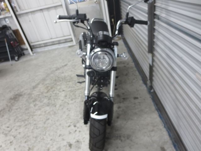 �z���_�_�b�N�X125�i���Q���ɗ\�S�u�����j�摜2