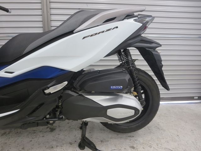 �z���_�t�H���c�@�i���Q���ɗ\�S�u�����j�摜37
