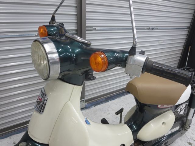 �z���_���g���J�u�i���Q���ɗ\�S�u�����j�摜24