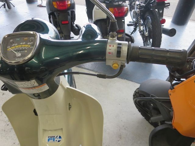 �z���_���g���J�u�i���Q���ɗ\�S�u�����j�摜38