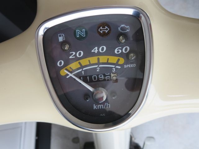 �z���_���g���J�u�i���Q���ɗ\�S�u�����j�摜21