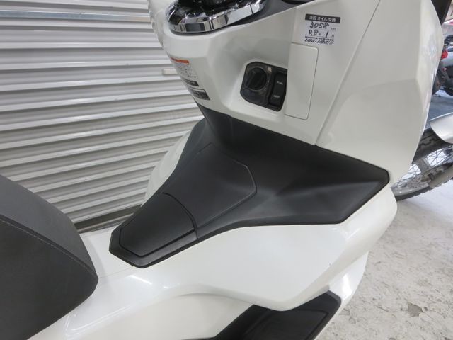 �z���_PCX�i���Q���ɗ\�S�u�����j�摜12