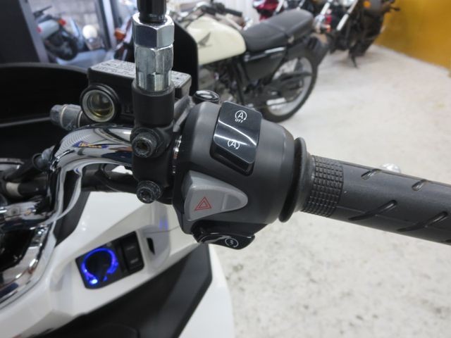 �z���_PCX�i���Q���ɗ\�S�u�����j�摜29