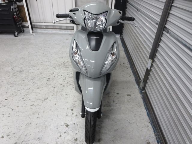 �z���_�f�B�I110�i���Q���ɗ\�S�u�����j�摜2