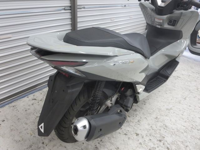 �z���_PCX�i���Q���ɗ\�S�u�����j�摜19
