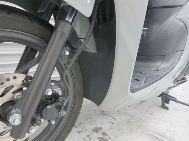 �z���_�f�B�I110�i���Q���ɗ\�S�u�����j�摜39