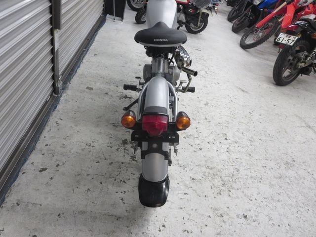 �z���_�\���i���Q���ɗ\�S�u�����j�摜19