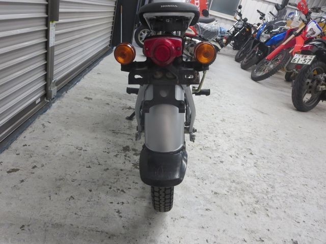 �z���_�\���i���Q���ɗ\�S�u�����j�摜22