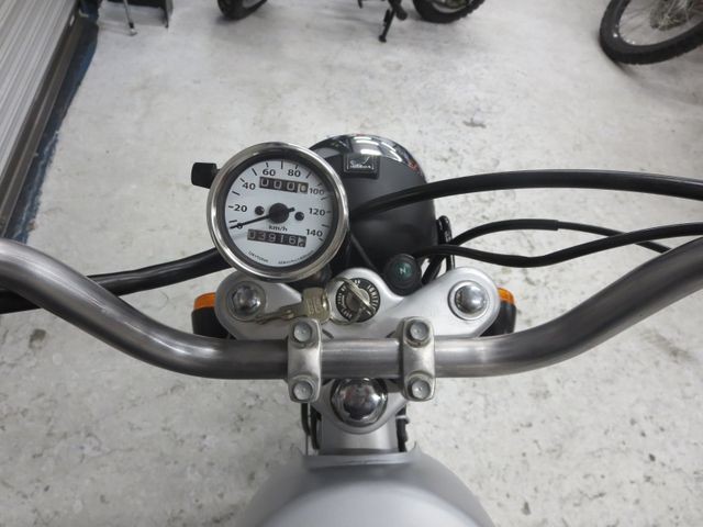 �z���_�\���i���Q���ɗ\�S�u�����j�摜25