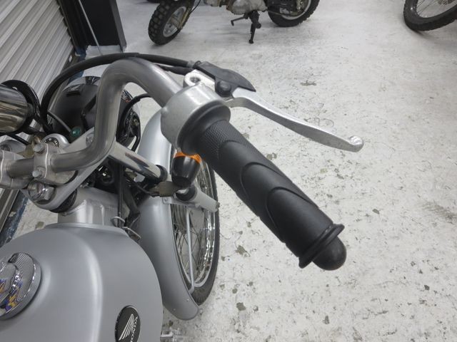 �z���_�\���i���Q���ɗ\�S�u�����j�摜28