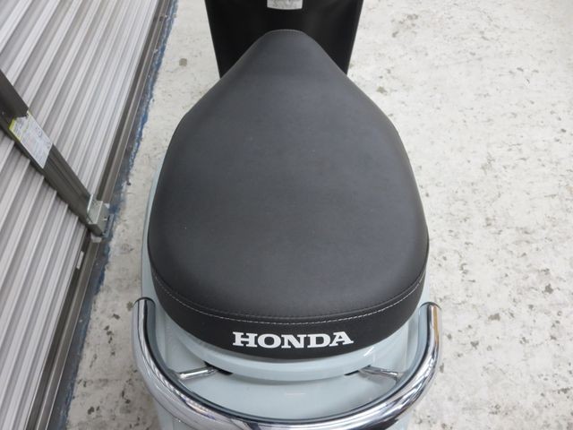 �z���_�W�����m�i���Q���ɗ\�S�u�����j�摜13