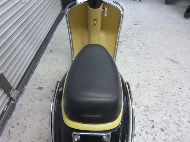 �z���_�W�����mDX�i���Q���ɗ\�S�u�����j�摜25