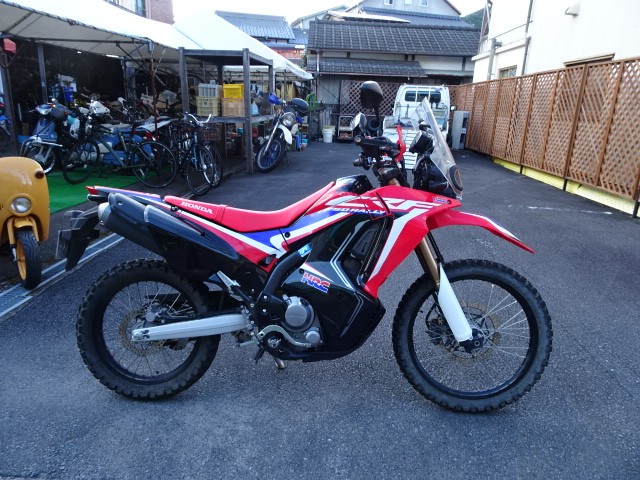 �z���_CRF250 RALLY�i���m���h�юs�j�摜1