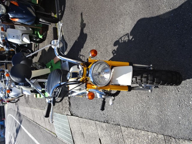 �z���_�����L�[�i���m���h�юs�j�摜3