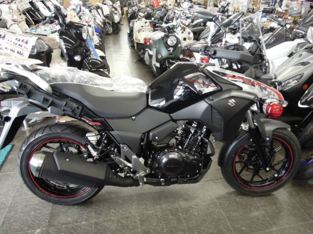 XYLV-Strom250immsj摜1