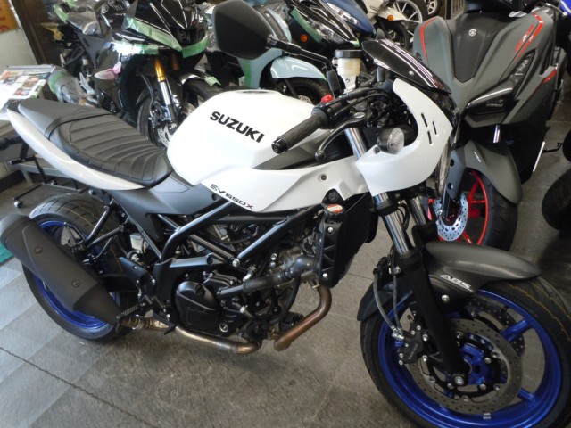 �X�Y�LSV650X�i���m�����m�s�j�摜1