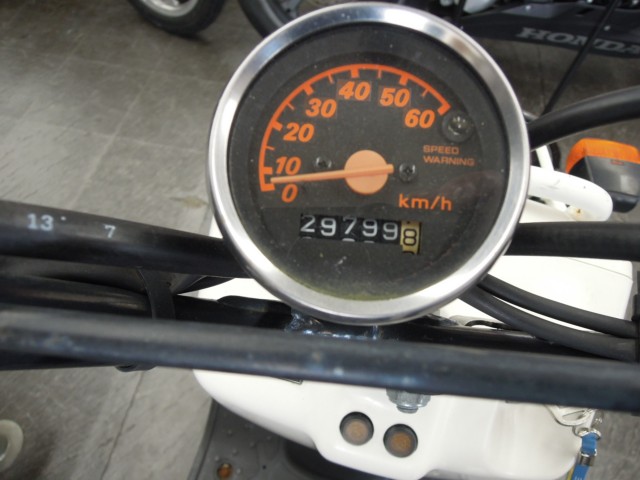 �z���_�Y�[�}�[�i���m�����m�s�j�摜3