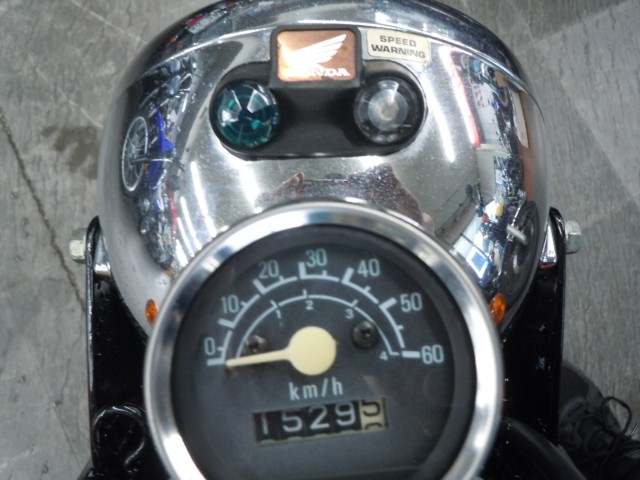 �z���_�S�����i���m�����m�s�j�摜3