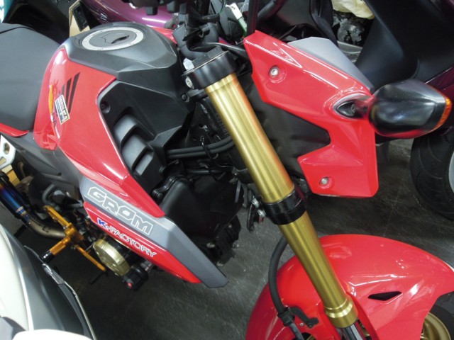 �z���_�O�����i���m�����m�s�j�摜5