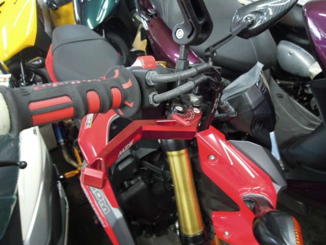 �z���_�O�����i���m�����m�s�j�摜8