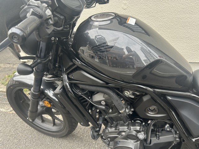�z���_���u��1100�i���Q�����R�s�j�摜5