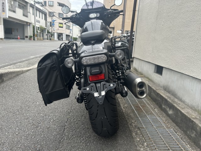 �z���_���u��1100�i���Q�����R�s�j�摜8