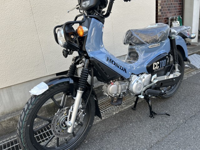 �z���_�N���X�J�u110�i���Q�����R�s�j�摜1