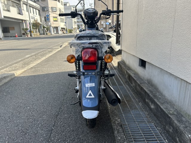 �z���_�N���X�J�u110�i���Q�����R�s�j�摜6