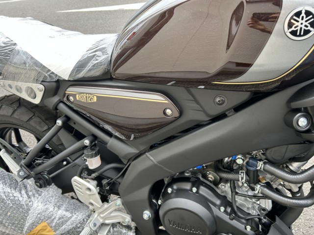 }nXSR125iQRsj摜13
