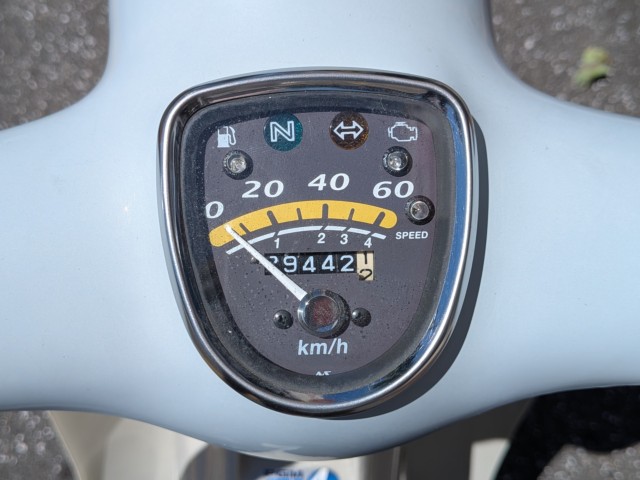 �z���_���g���J�u�i���m�����m�s�j�摜12
