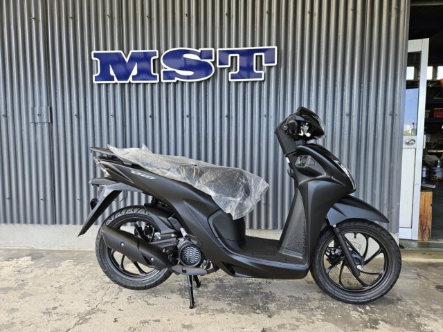 �z���_Dio110 Lite�i���m���y���s�j�摜1