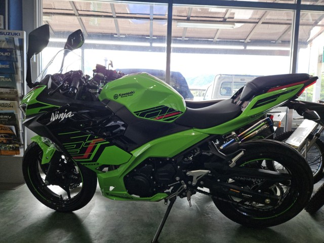 �J���T�LNinja250�i���m���y���s�j�摜2