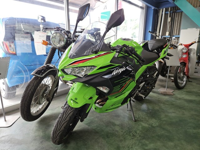 �J���T�LNinja250�i���m���y���s�j�摜4