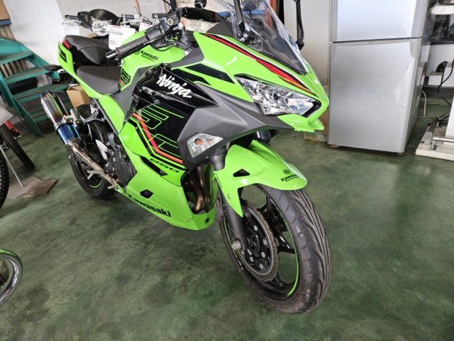 �J���T�LNinja250�i���m���y���s�j�摜3