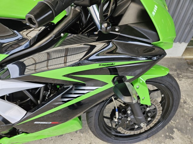 �J���T�LNinja250 SL�i���m���y���s�j�摜8