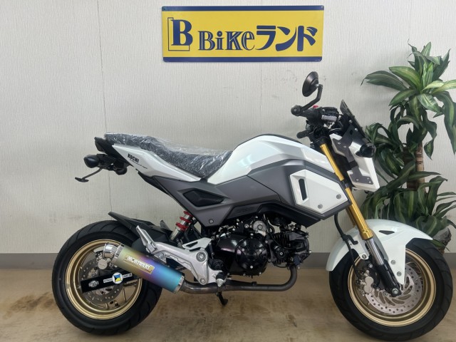 �z���_�O�����i���m�����m�s�j�摜1