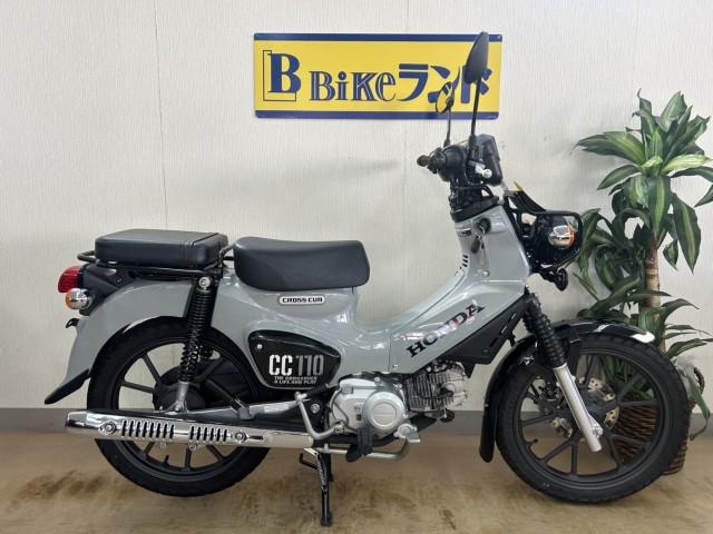 �z���_�N���X�J�u110�i���m�����m�s�j�摜1