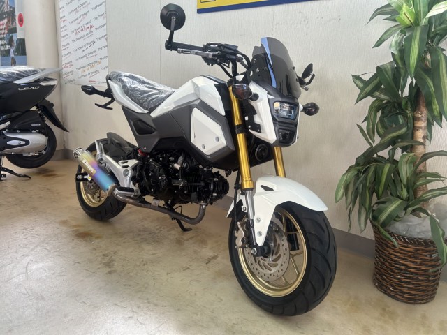 �z���_�O�����i���m�����m�s�j�摜2