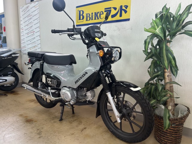 �z���_�N���X�J�u110�i���m�����m�s�j�摜2