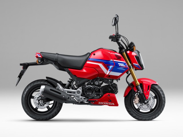 �z���_�O�����i���m�����m�s�j�摜2
