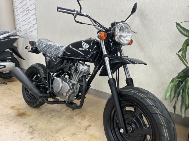 �z���_�G�C�v50�i���m�����m�s�j�摜2