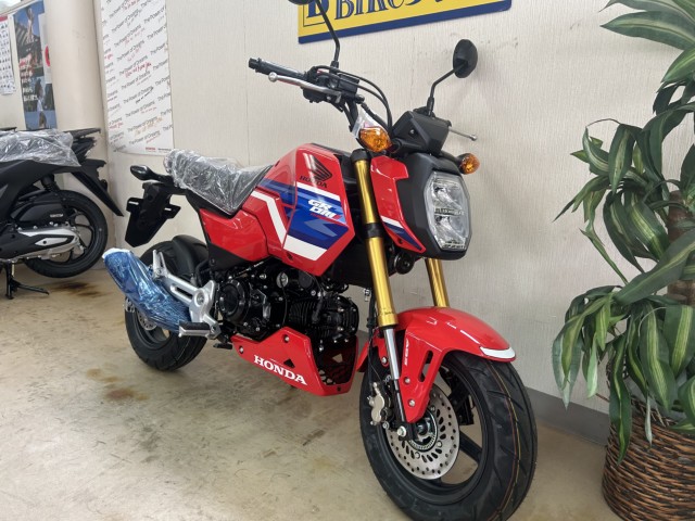 �z���_�O�����i���m�����m�s�j�摜2