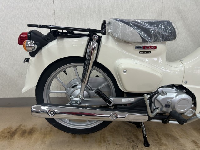 �z���_�X�[�p�[�J�u110�i���m�����m�s�j�摜4